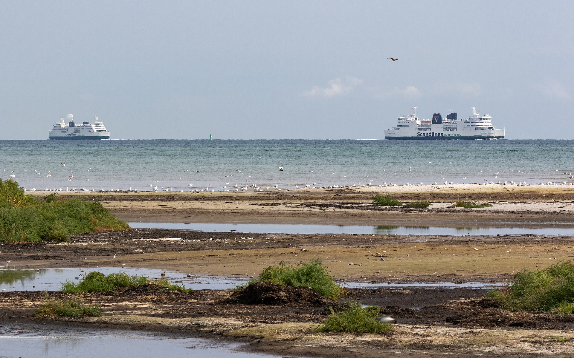 Møn — an island of dramatic contrasts